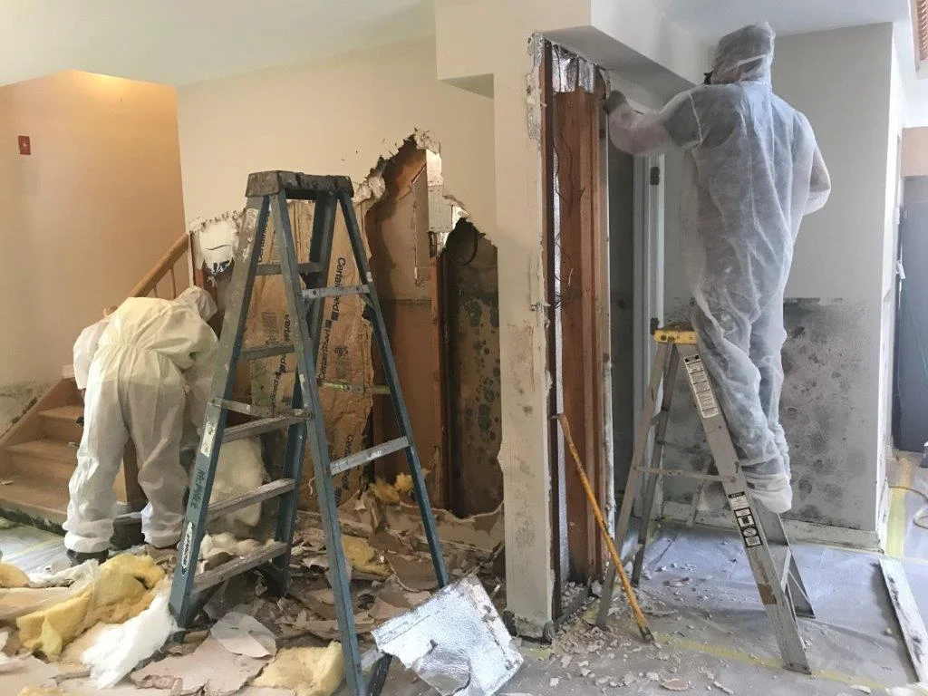 How to Stop Mold From Growing in Your Home