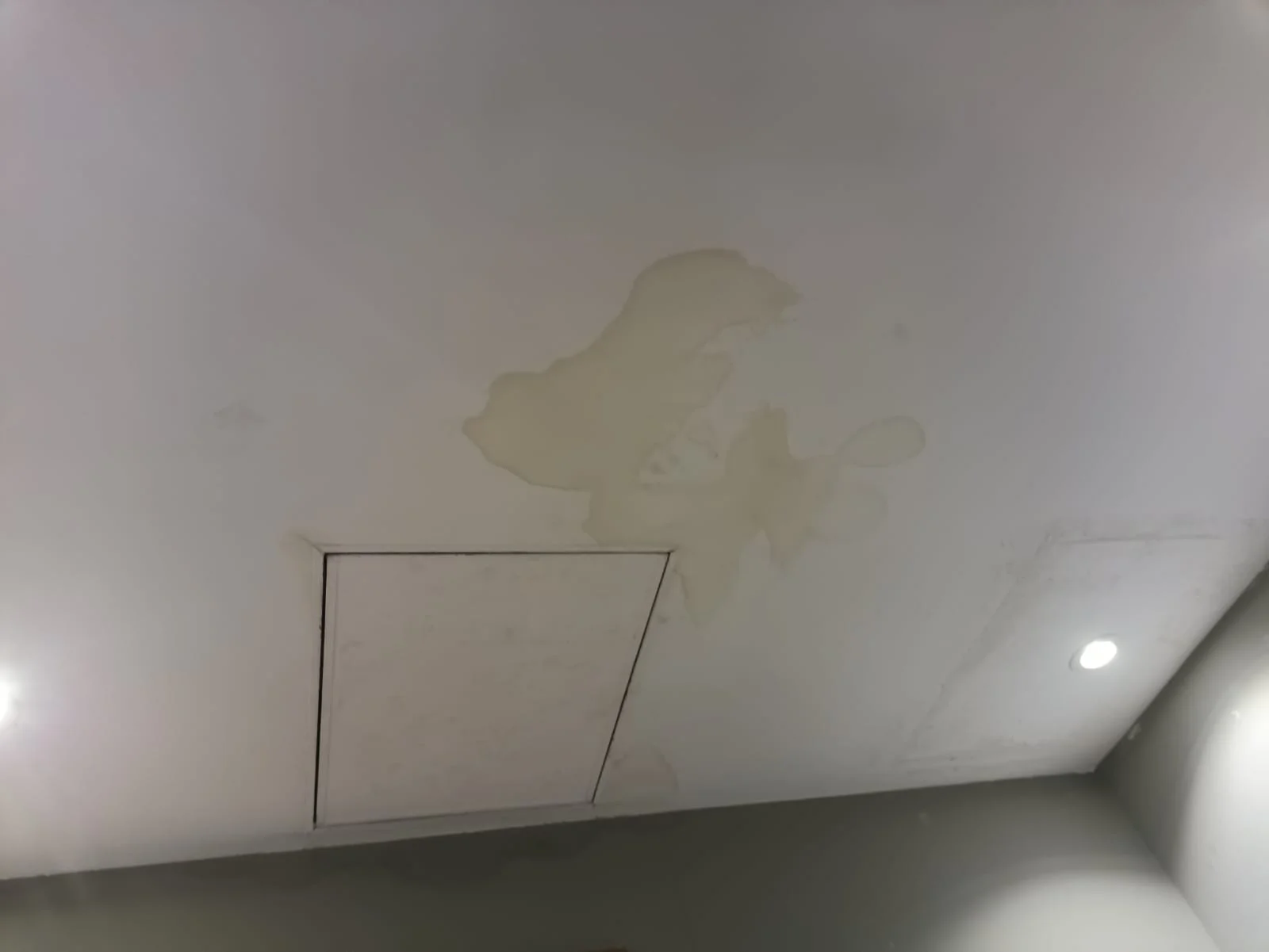 Why There Is Mold on the Gypsum Ceiling in the Corridor or Bathroom