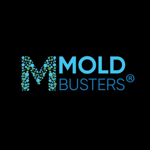 Why Hire a Certified Mold Remediation Specialist