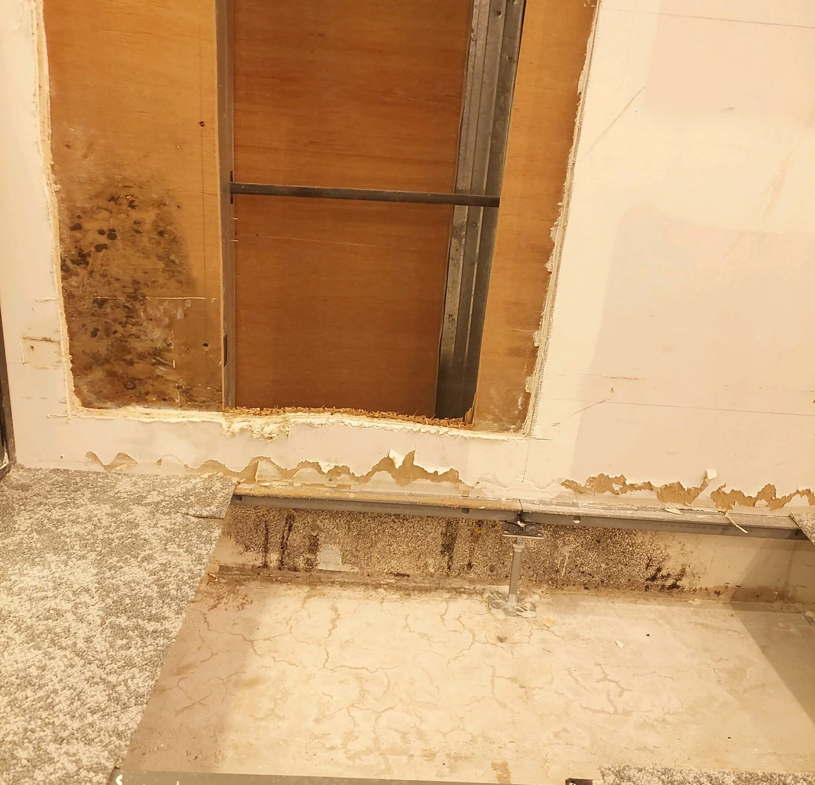 How to Know if a Building Is Damp: Key Signs