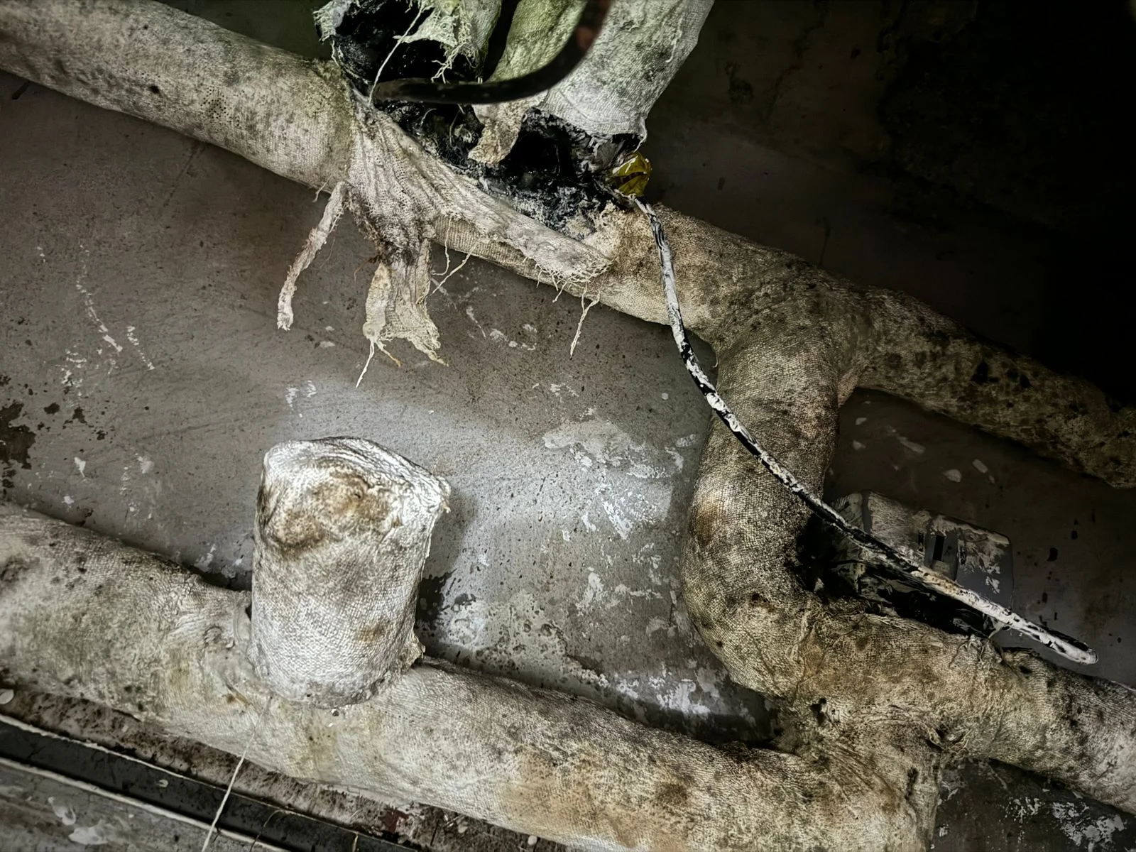 How Bad Insulation on Chilled Water Lines Contributes to Mold Growth