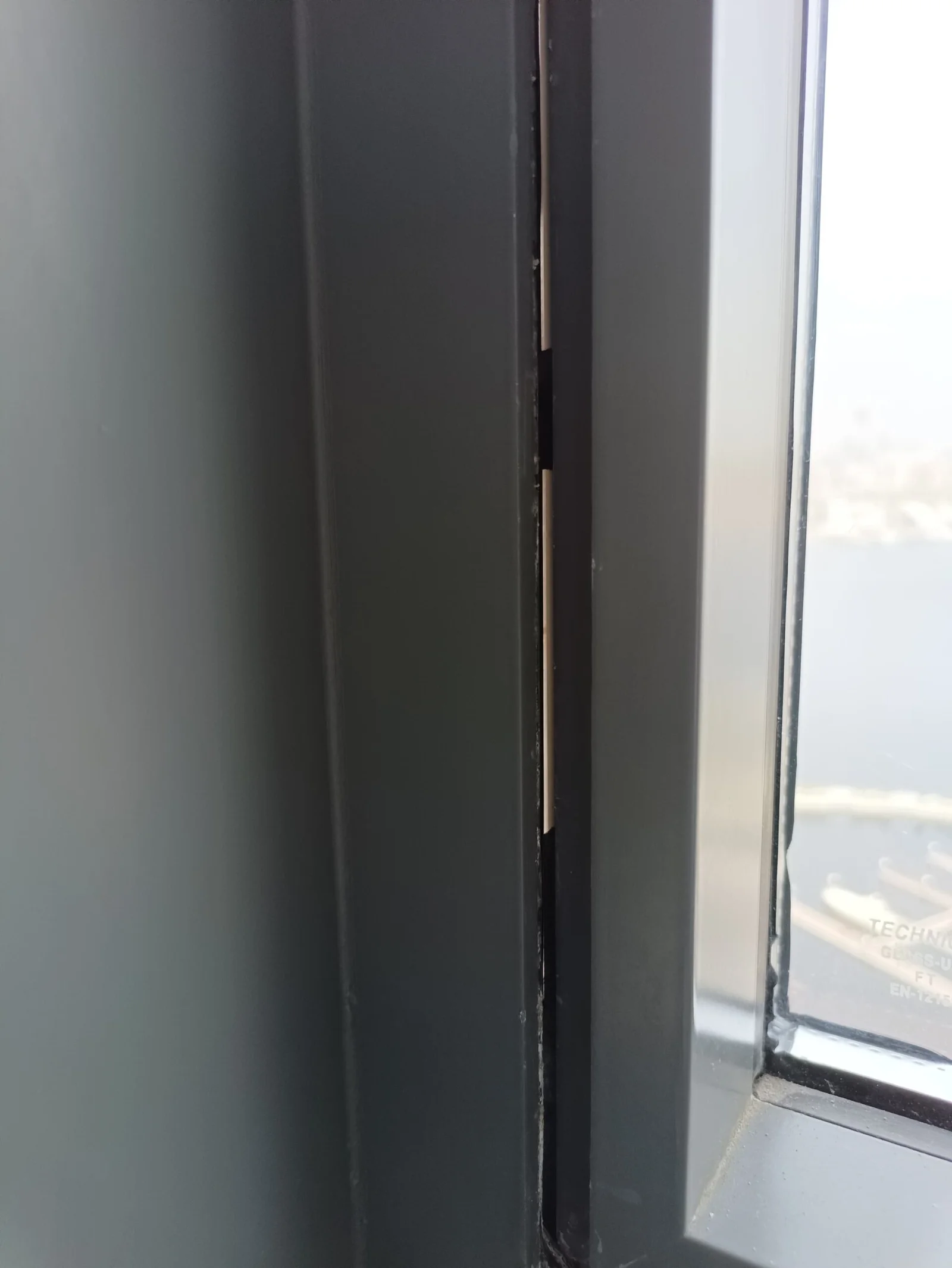 Why Sealed Windows Are Crucial to Avoid Mold Growth