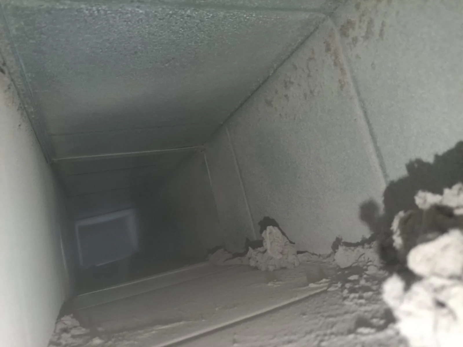 Why AC Duct Cleaning Is Essential for Preventing Mold