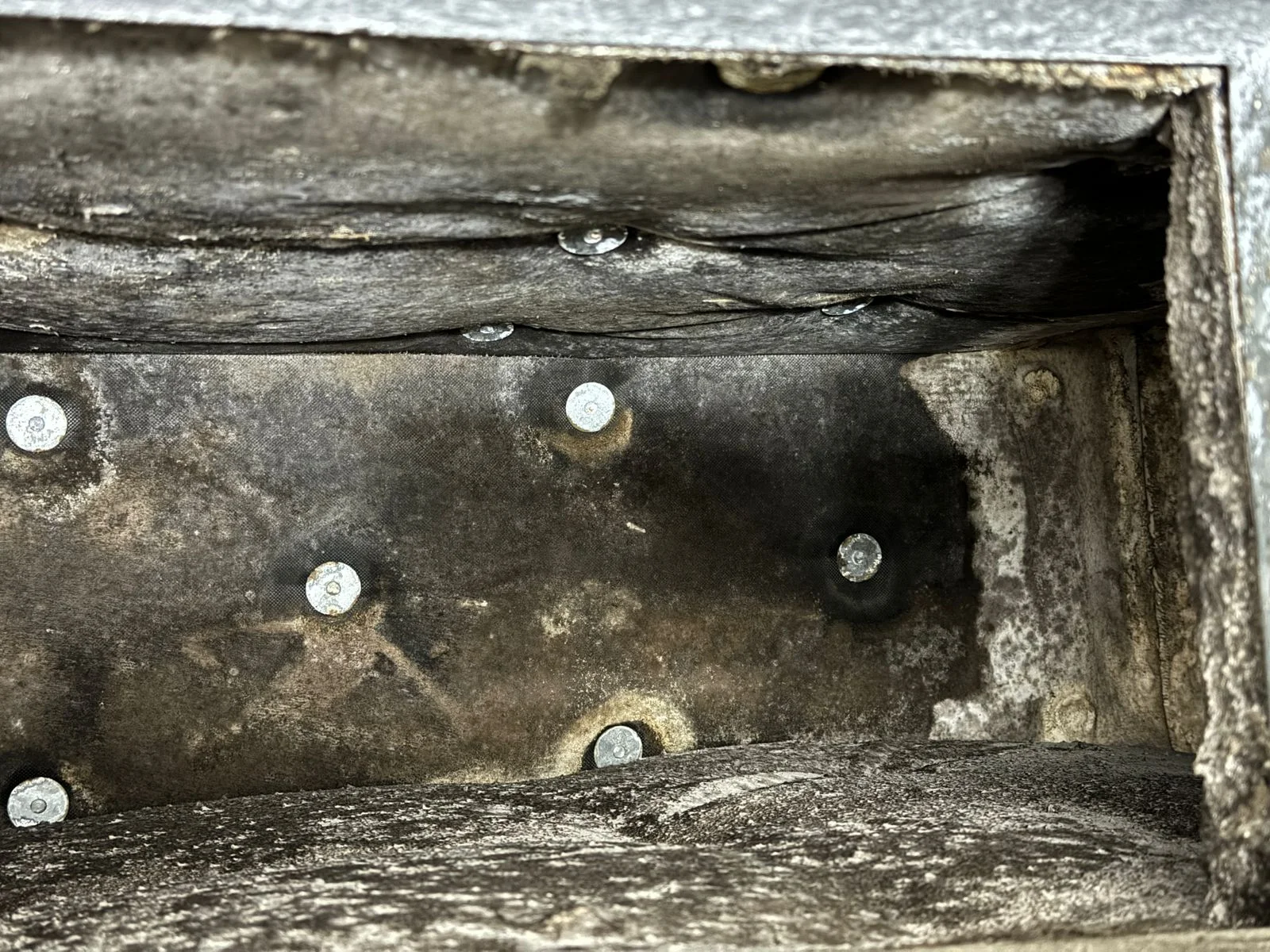 Mold in Your AC Ducts: How to Spot It and Prevent Growth
