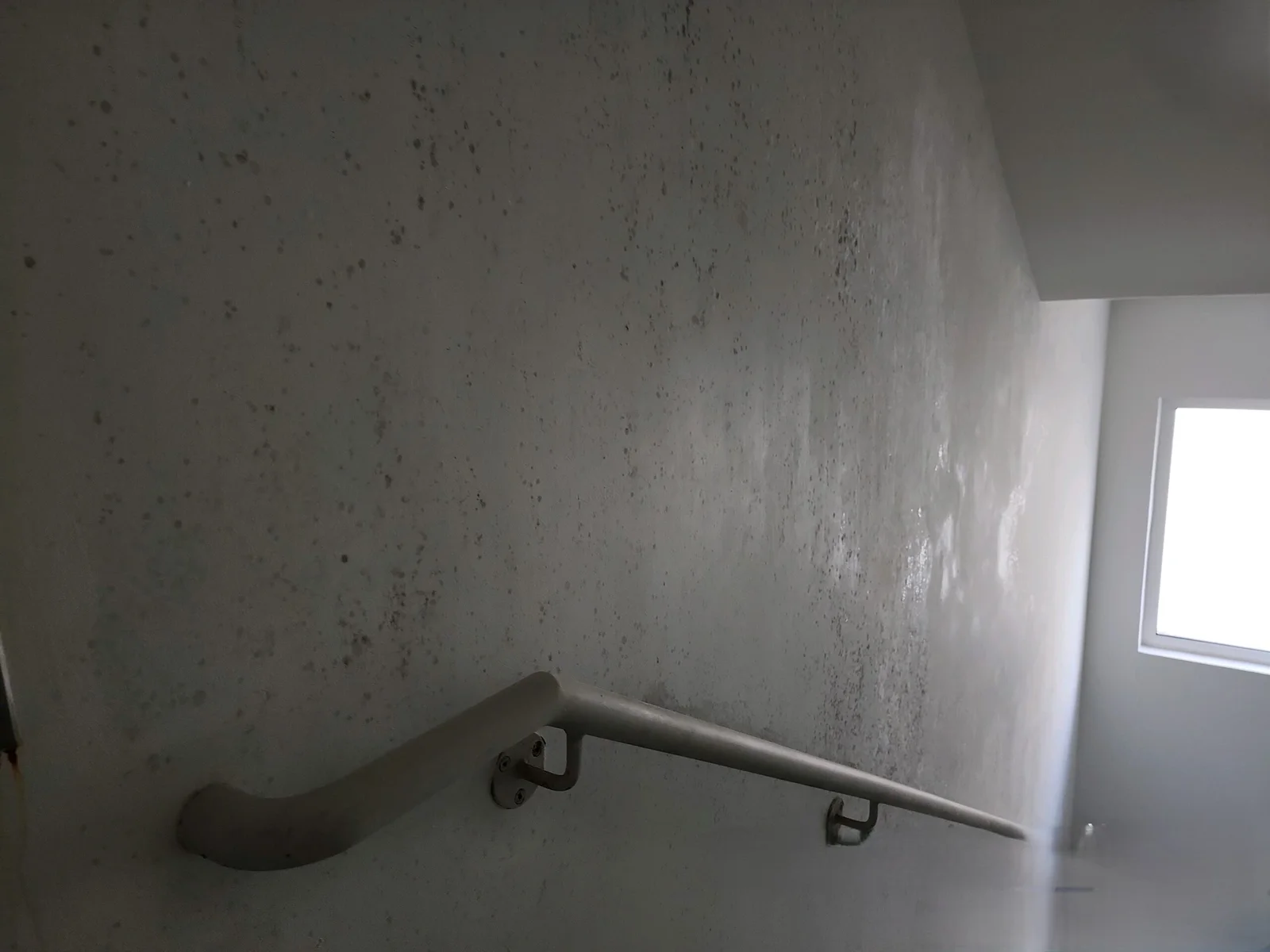 Why I Have Heavy Mold Growth in the Building Stairwell