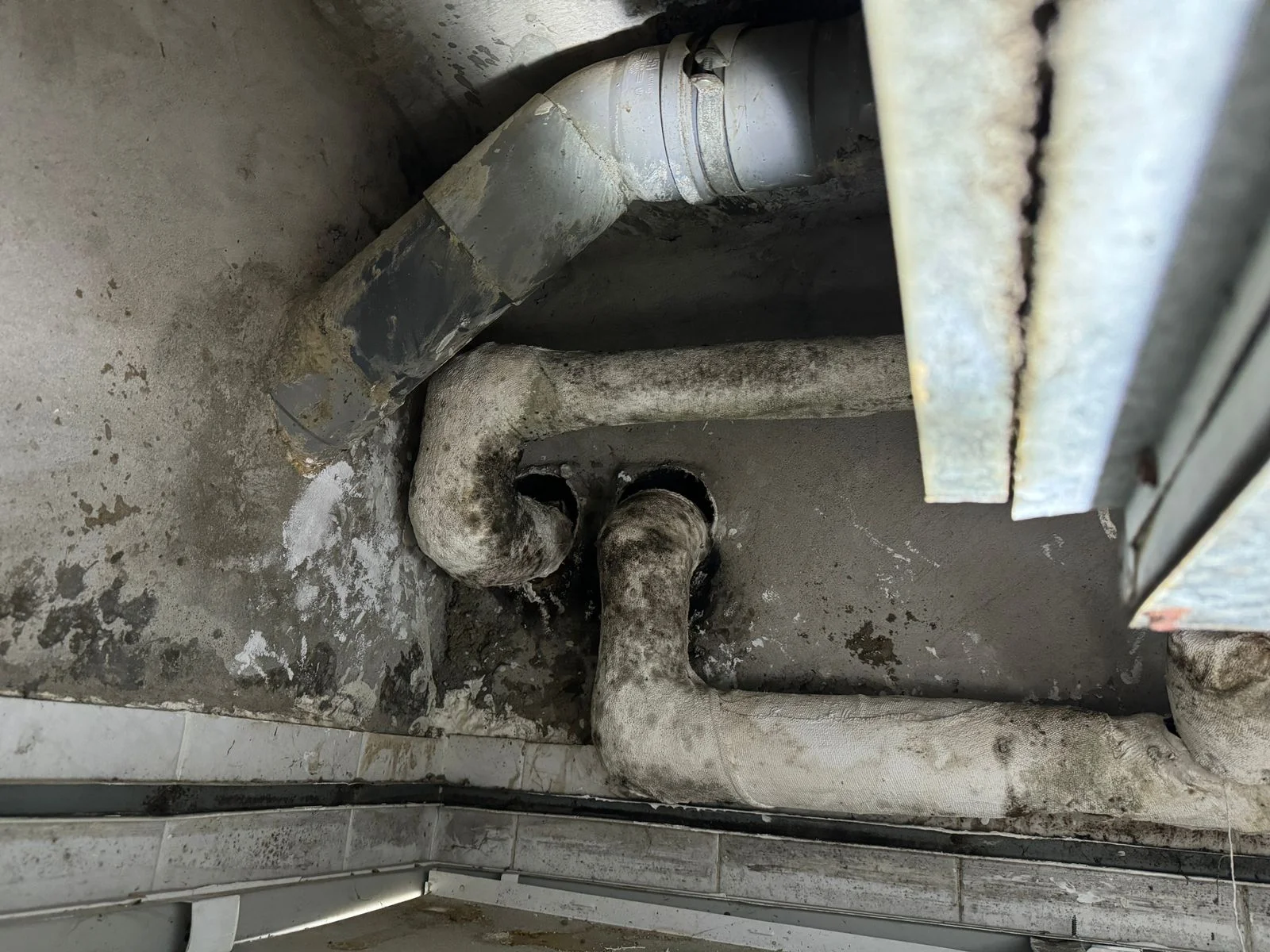 What Is Done During a Mold Inspection?