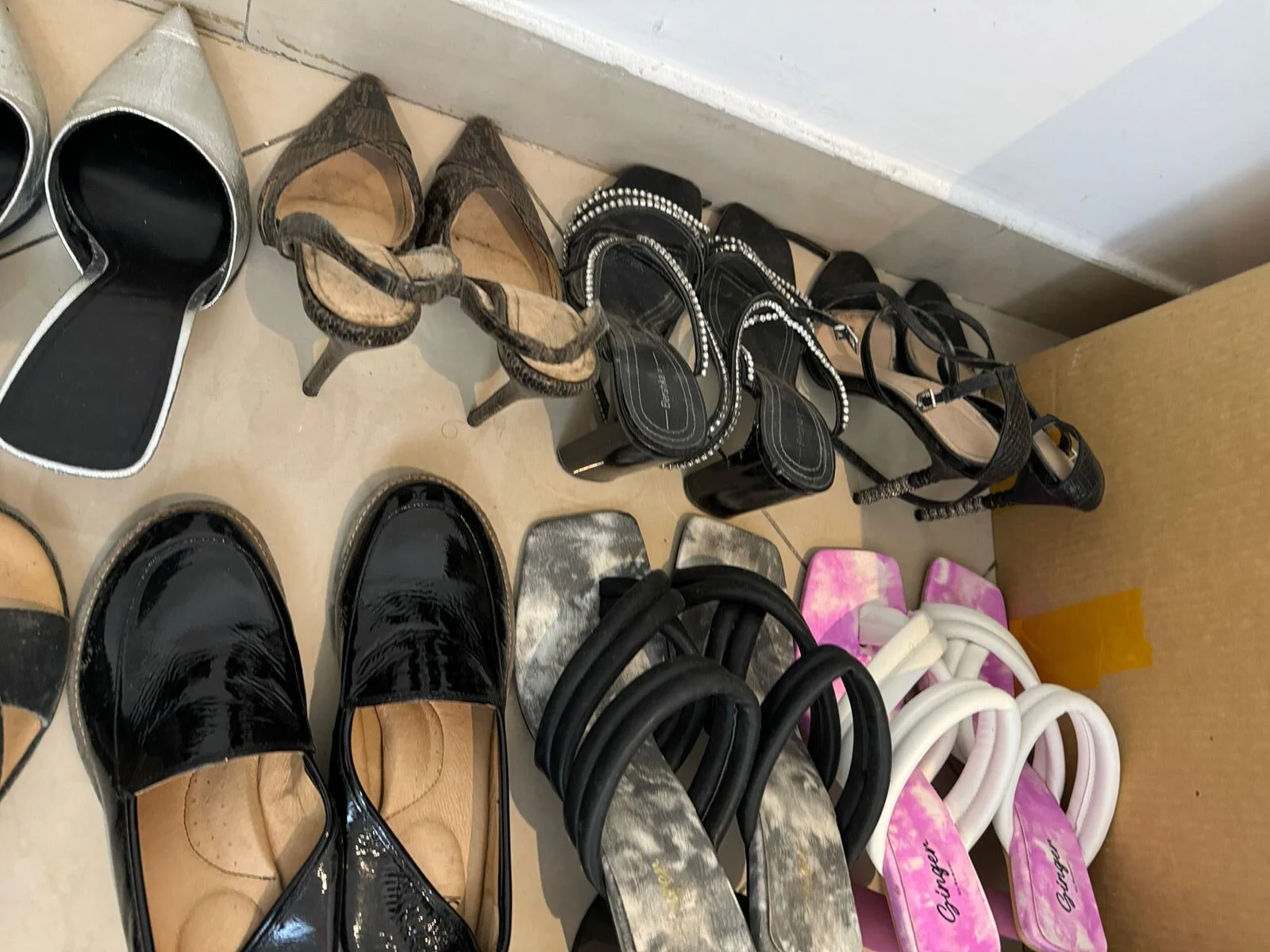 Why You Need a Professional Mold Inspection