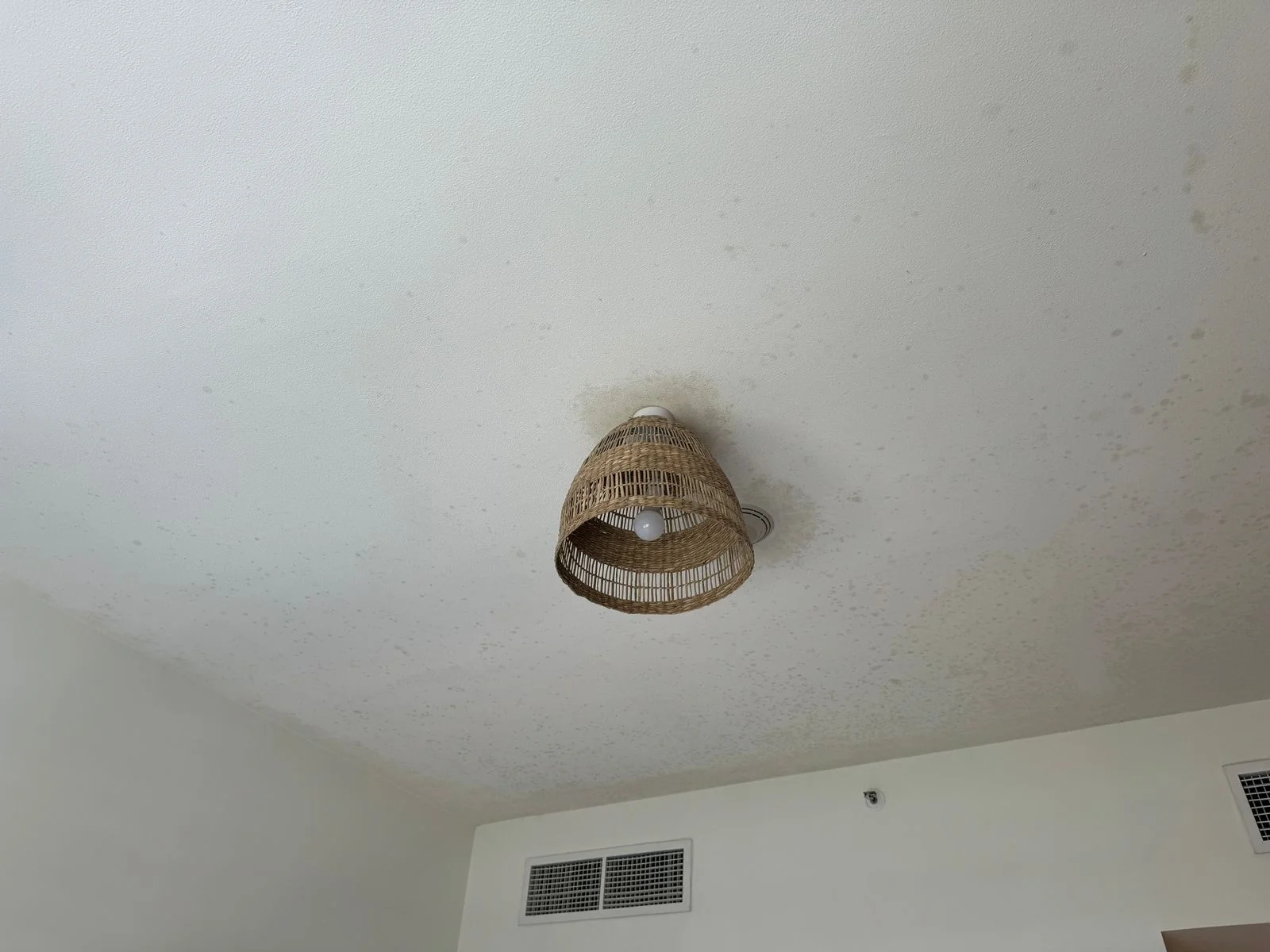 How Mold Spreads in Your Home and How to Prevent It