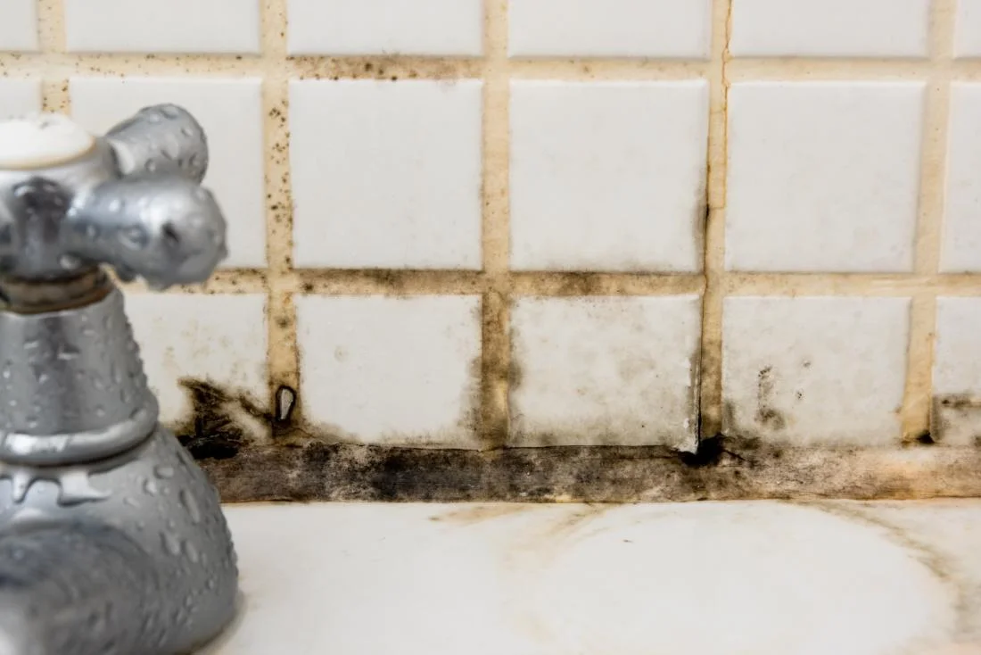 How Will I Know If I Am Exposed to Mold?