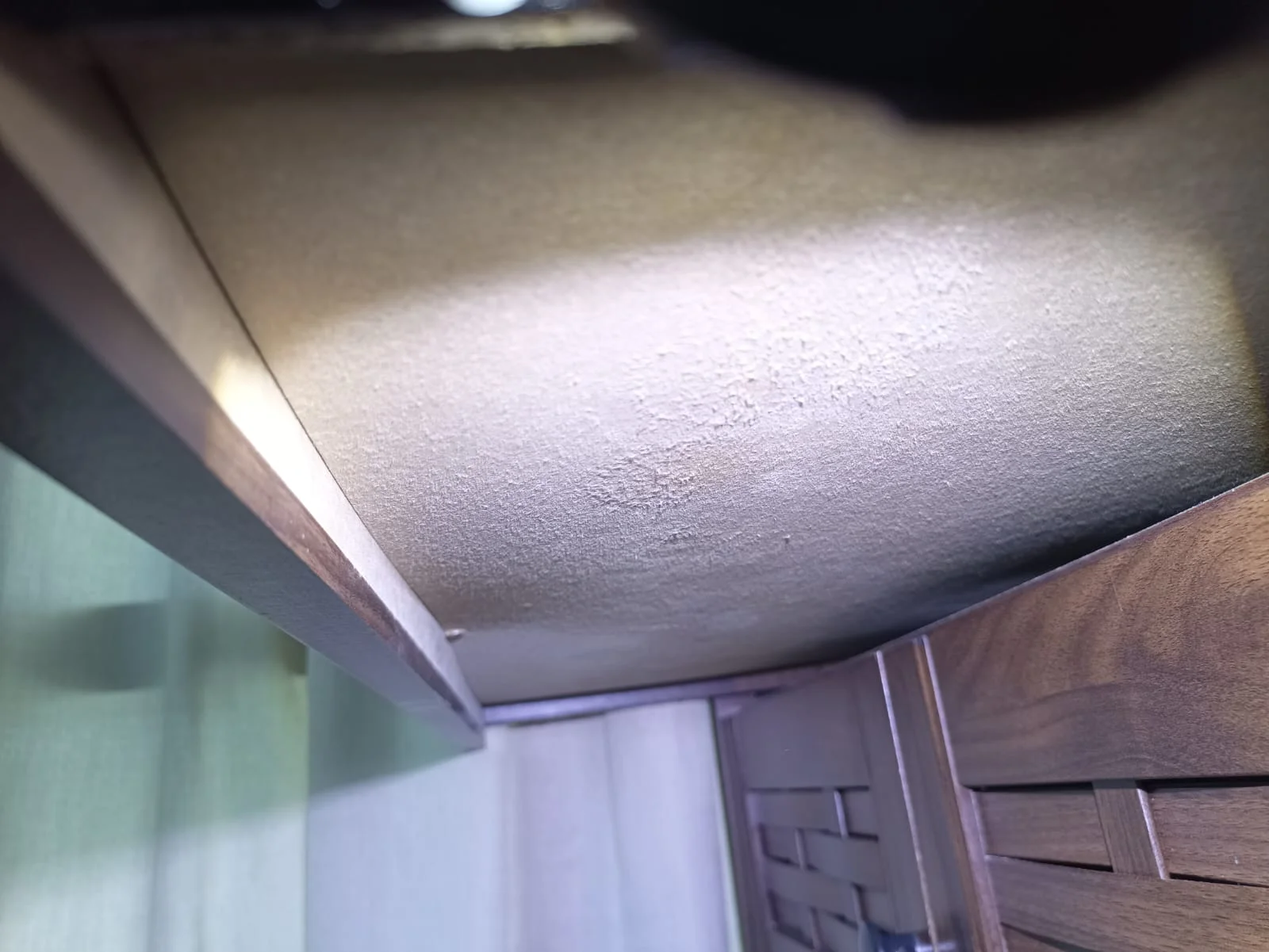 Mold and Your Home: What You Need to Know