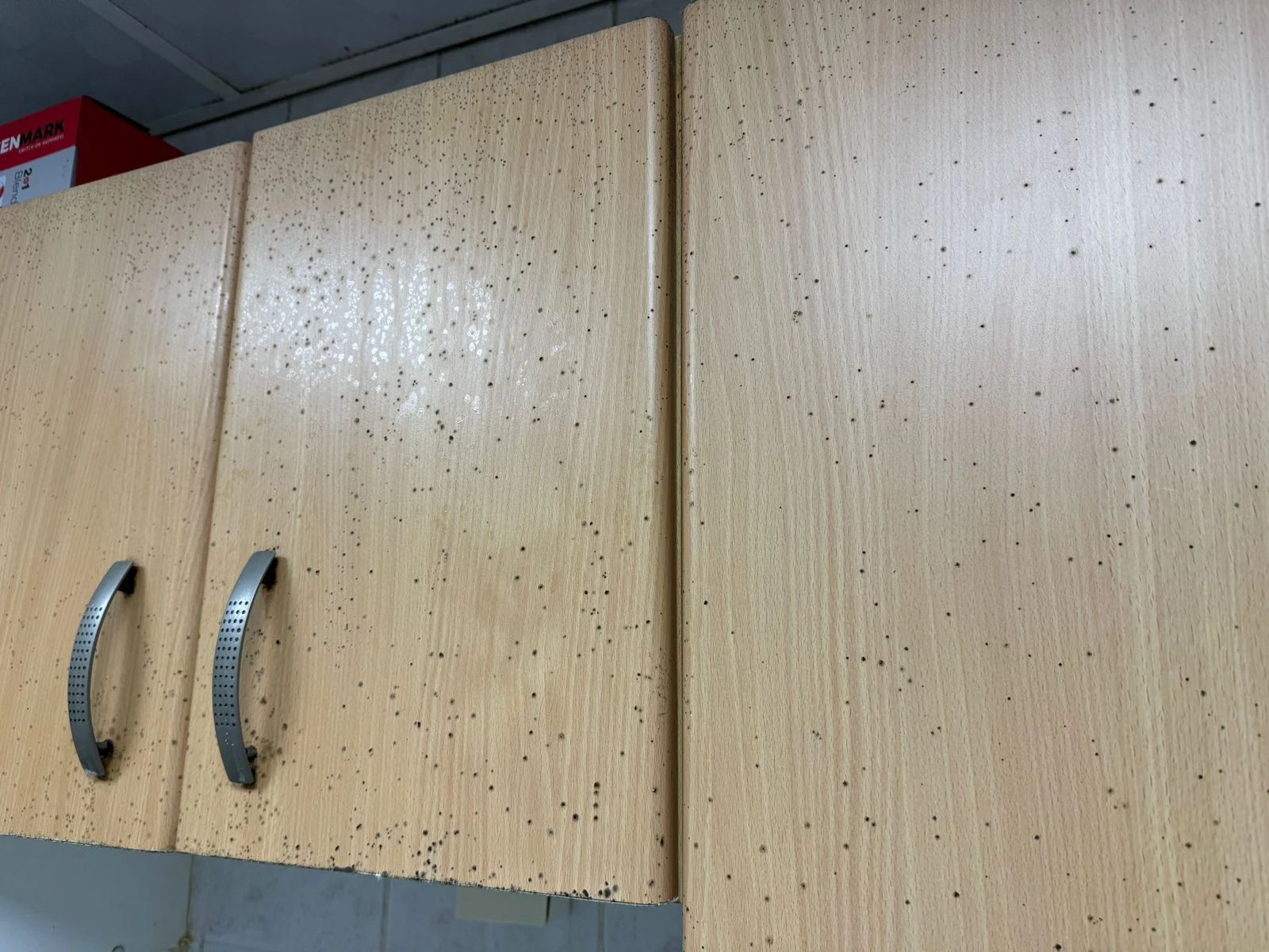 Dealing with and Preventing Mold in Your Home