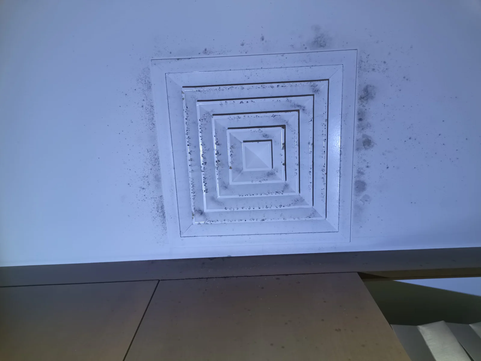 Why Mold Keeps Coming Back in Your Home