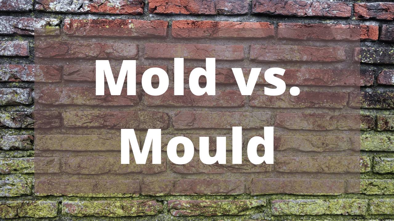 Mold or Mould! What Is the Difference?