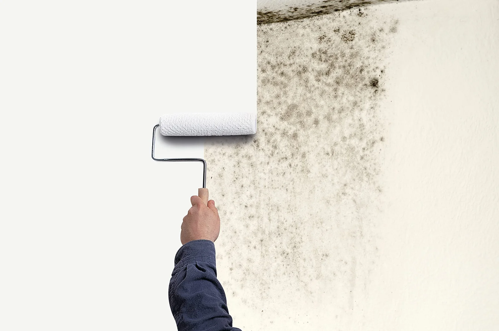 Painting Over Mold vs. Removing It