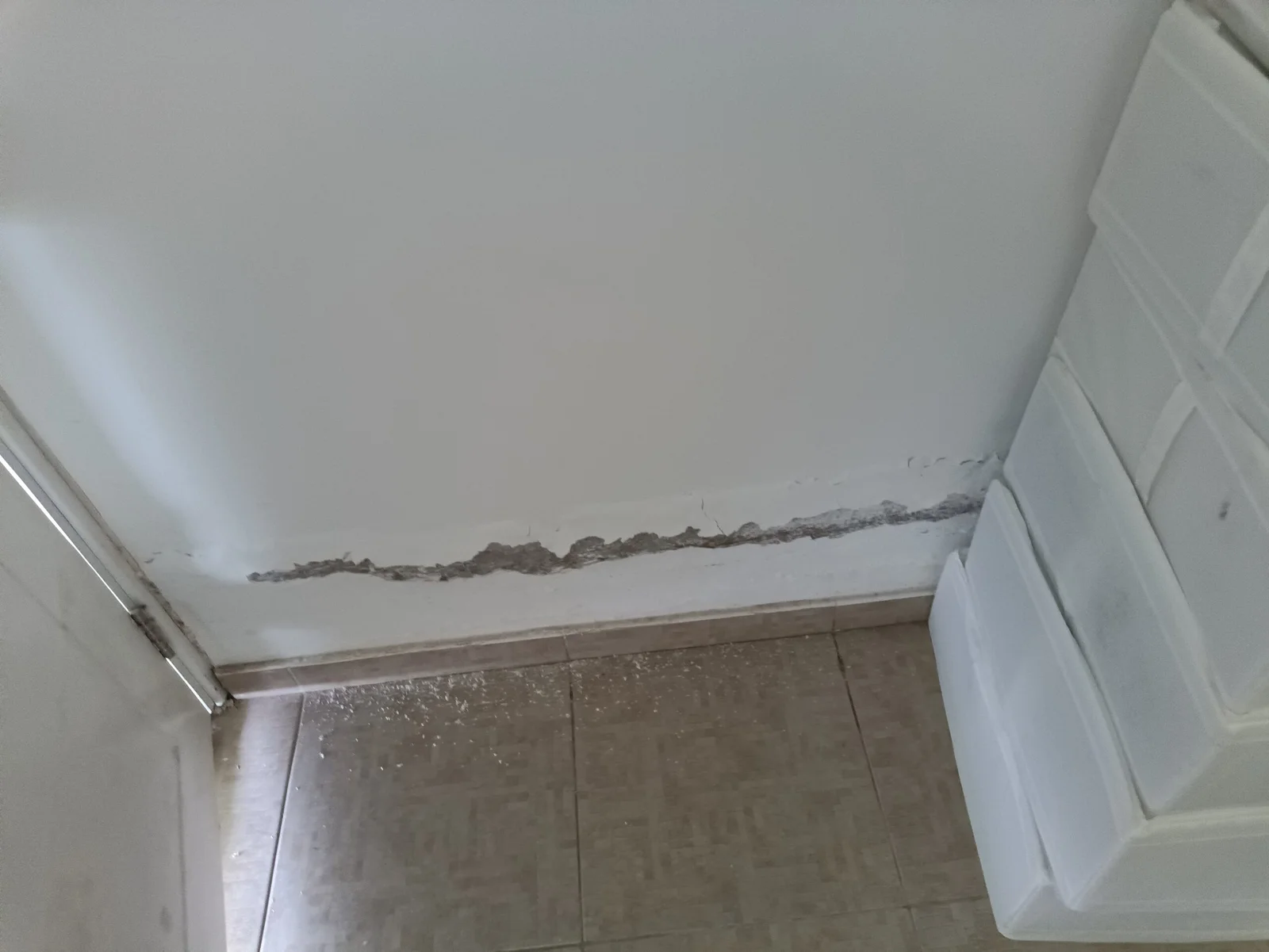 Why Paint on My Walls Keeps Peeling Off