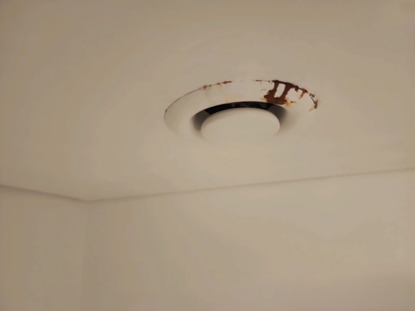 Metal Surfaces Rusting Indoors but There Is No Leak