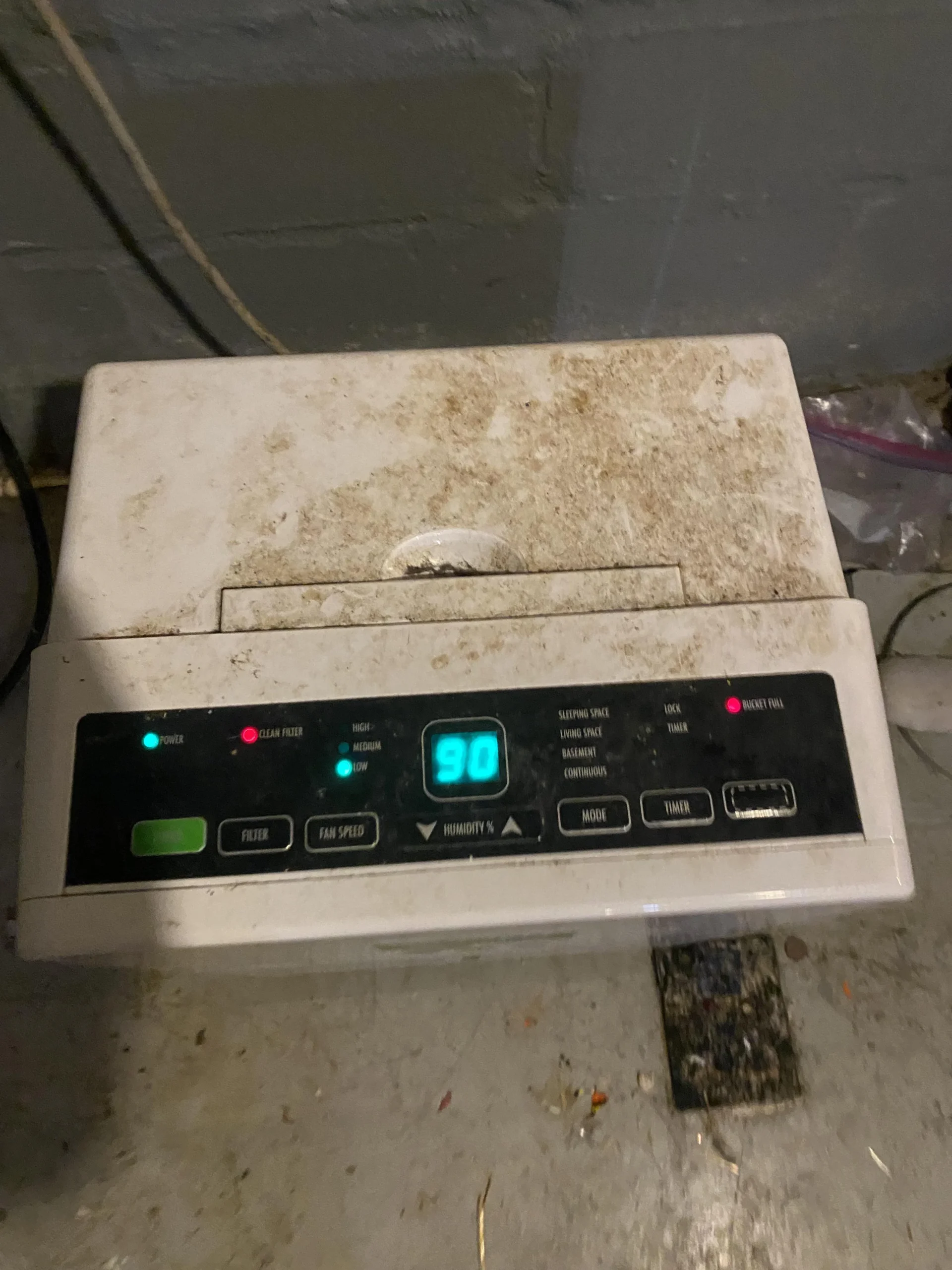 Can Dehumidifier Contribute to Mold Growth?