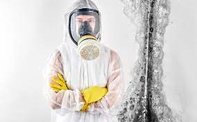 best mold removal company dubai