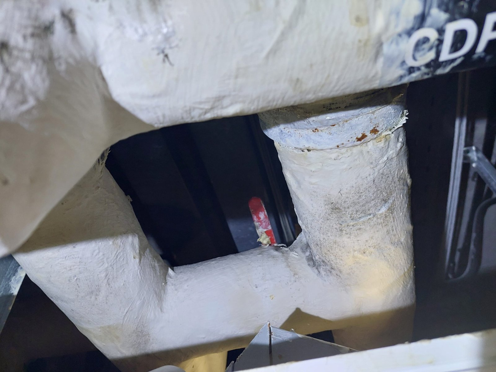 mold inspection in hotel building