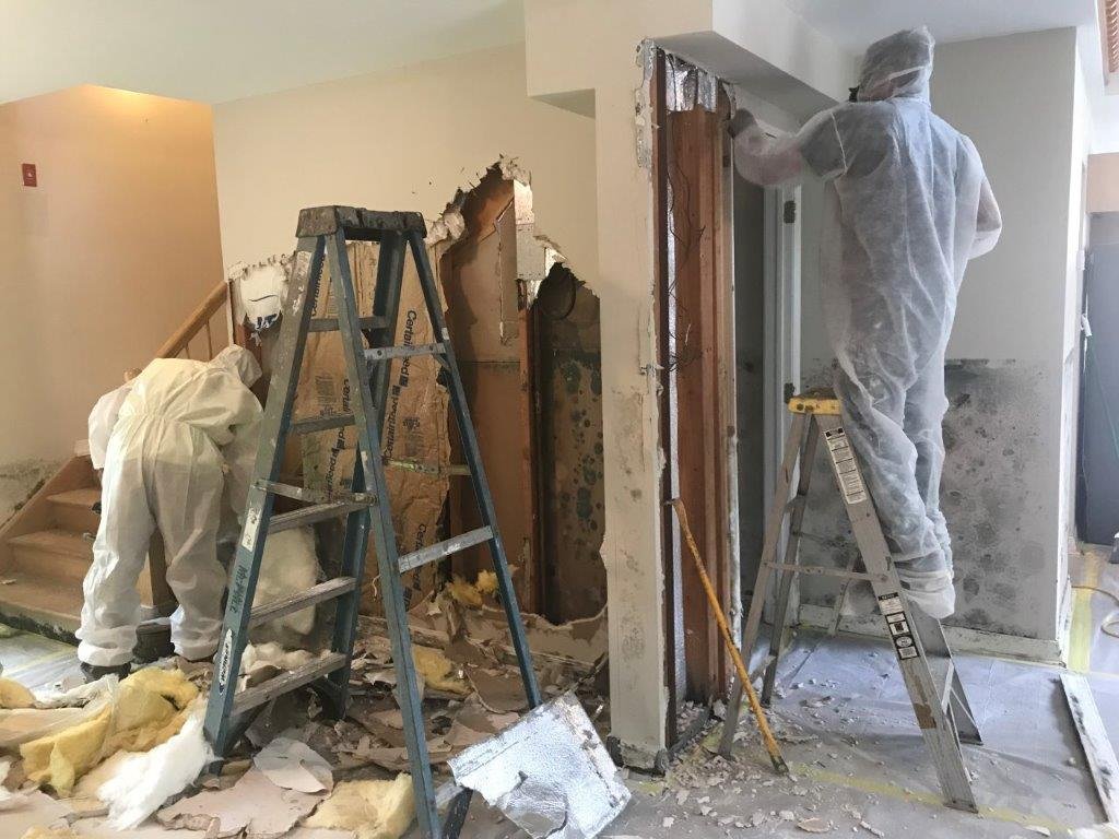 commercial mold removal services abu dhabi