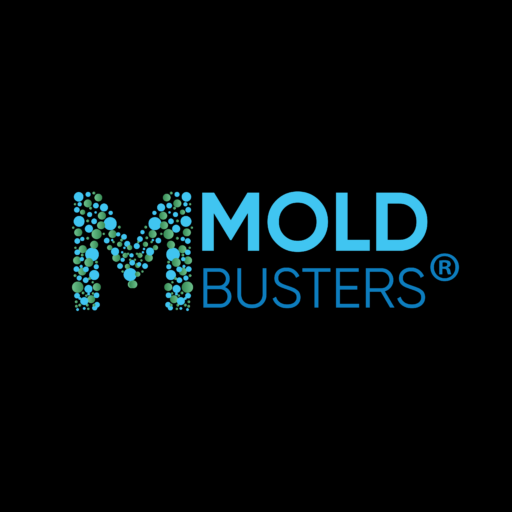 certified mold inspection and mold removal company