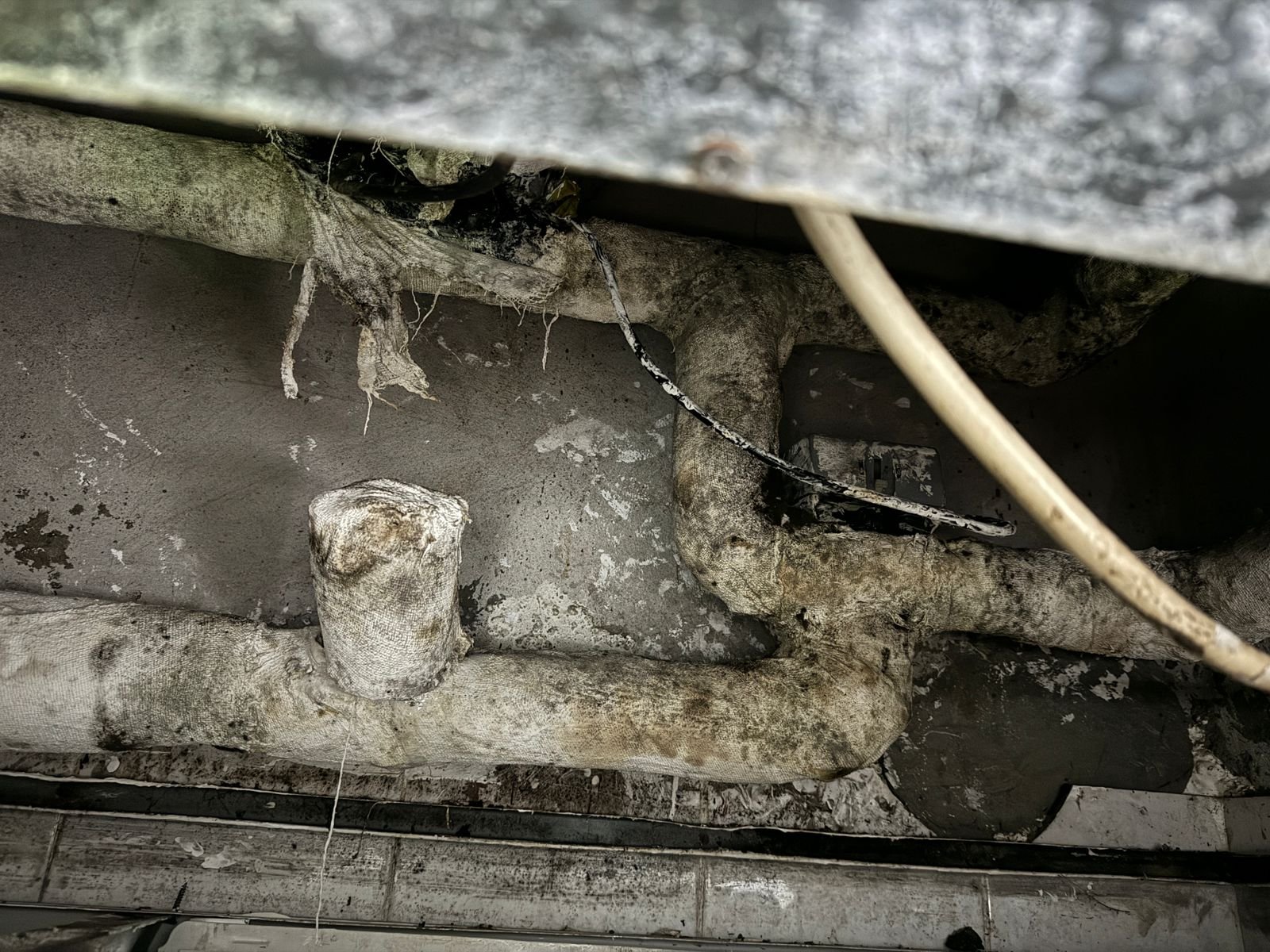 hidden mold in apartment ceiling - contact for professional mold inspection