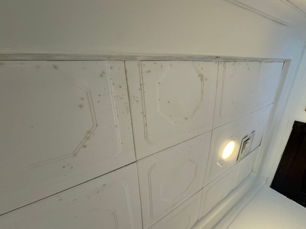 mold on ceiling due to high humidity in abu dhabi