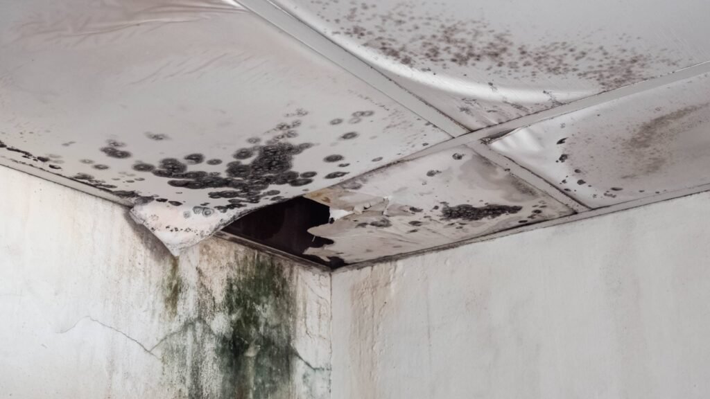water damages and mold on apartment ceiling and wall in dubai due to water leak