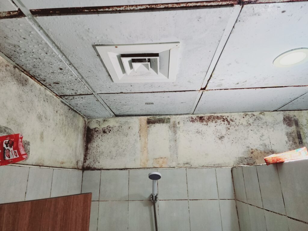 mold growth in common bathroom in the labor accommodation Dubai