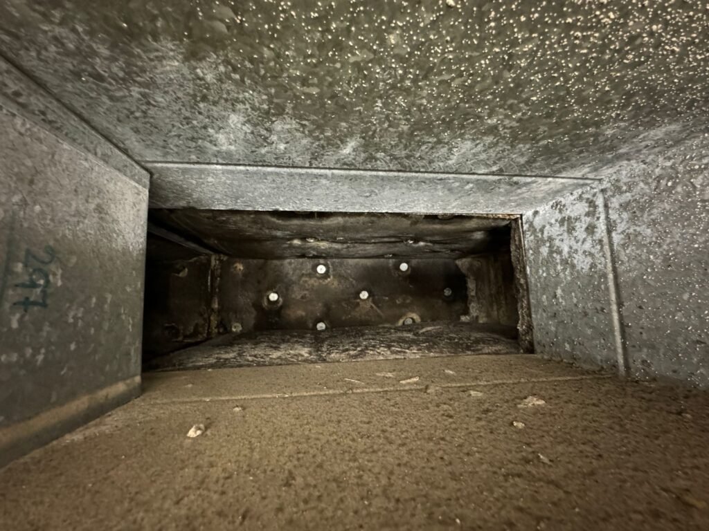 mold growth in ac ducts in dubai