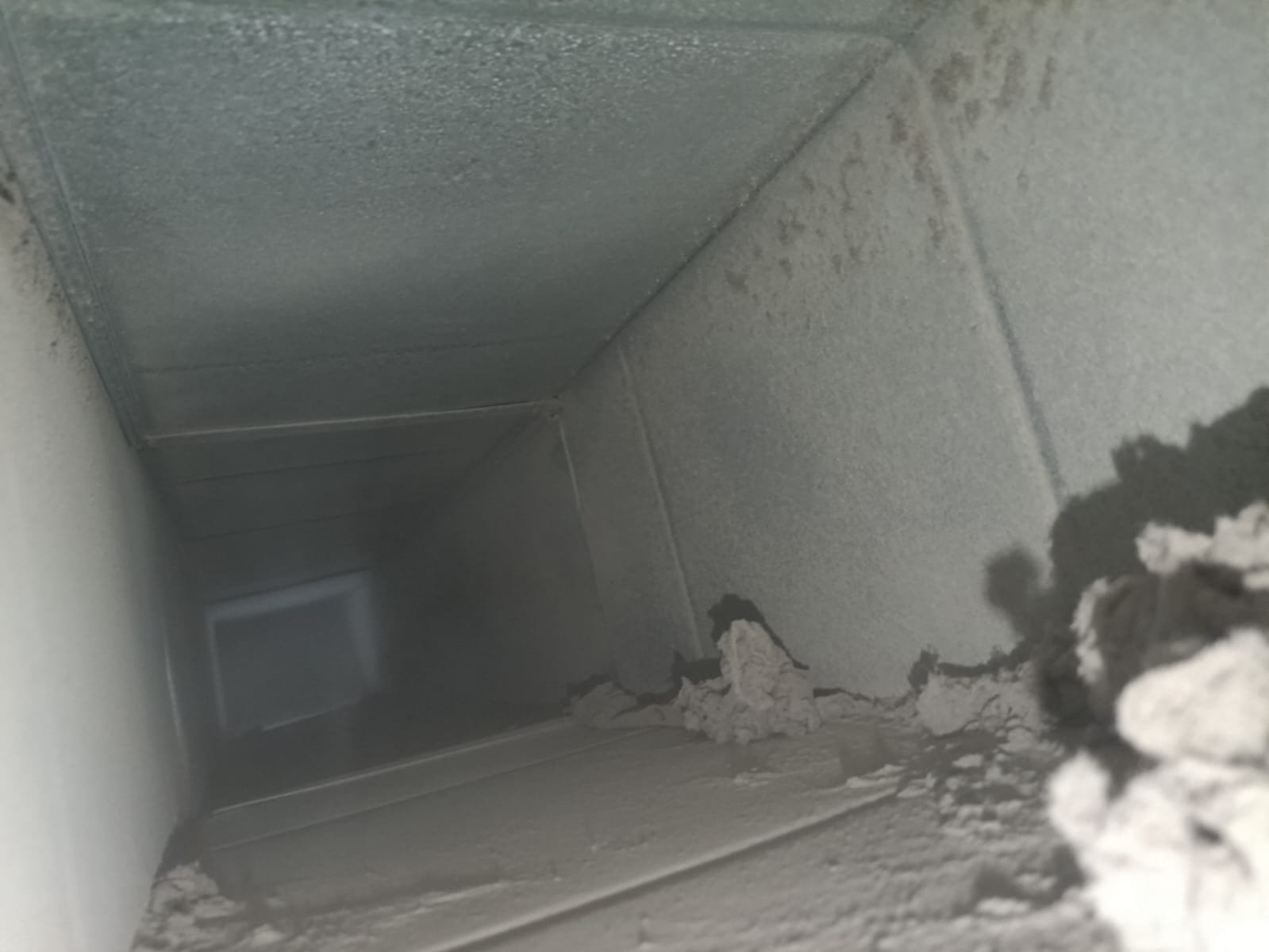 mold in ac ducts in emirates hills