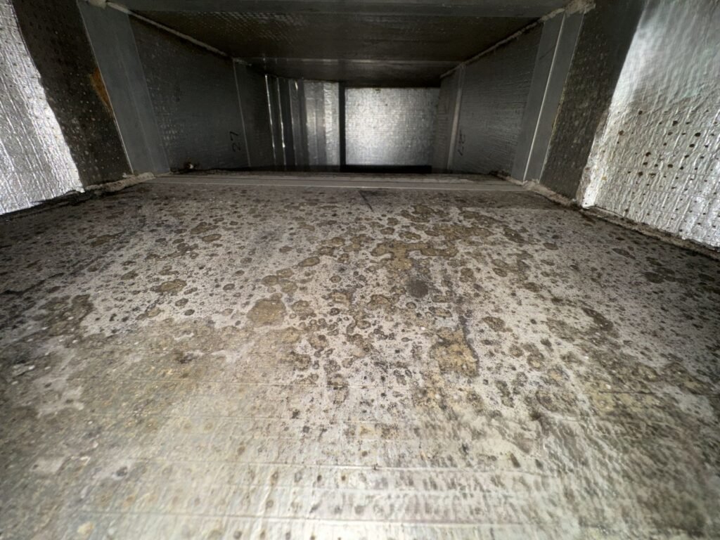 mold growth in the ac ducts of the ac ducts in jumeirah golf estates villa