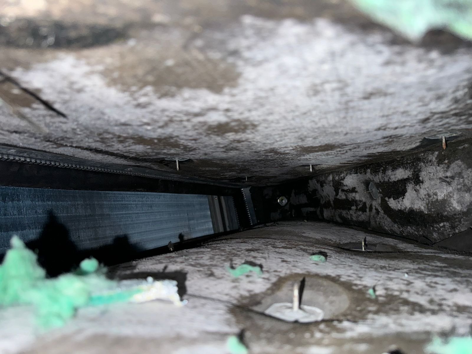 Heavy mold growth in al raha beach apartments in abu dhabi