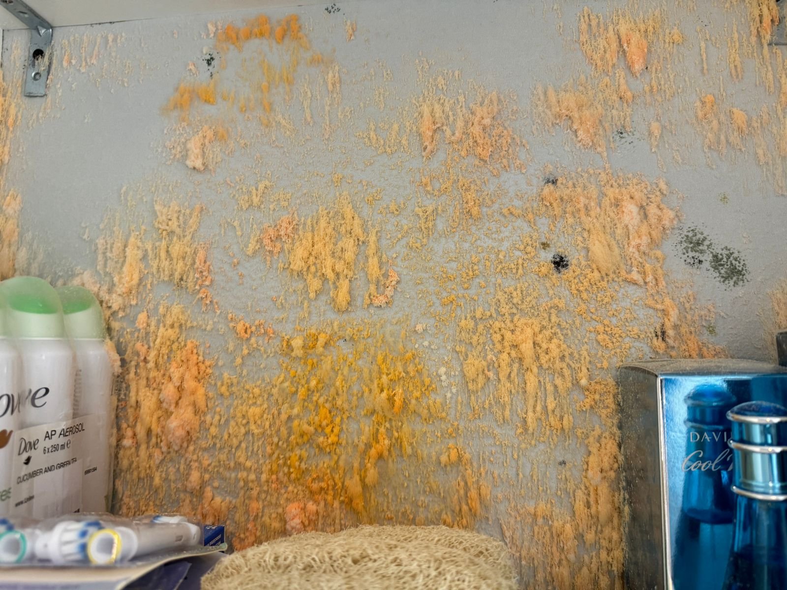 mold growth in bathroom cabinet