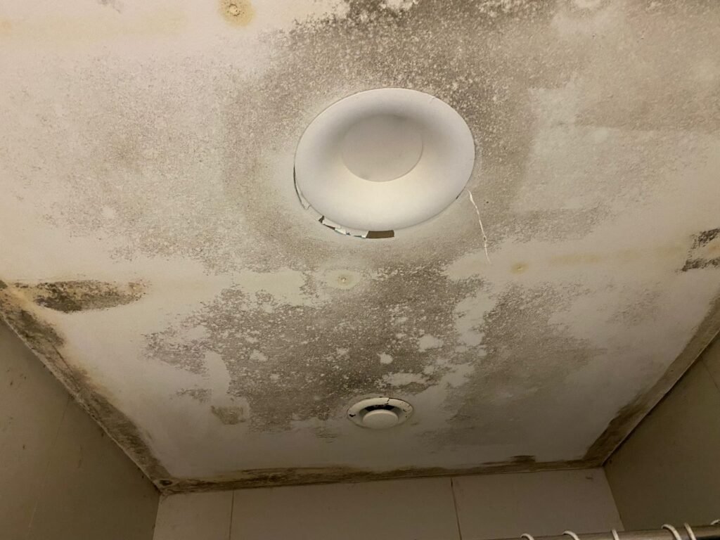 heavt mold growth on bathroom ceiling due to water leak