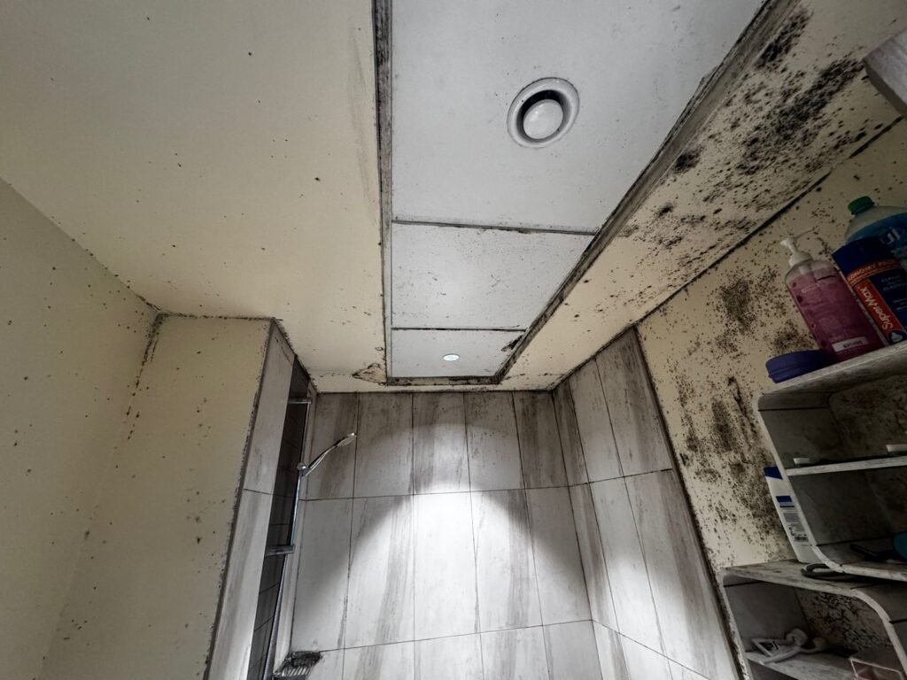 high humidity and weak exhaust leads to heavy mold growth in bathrooms