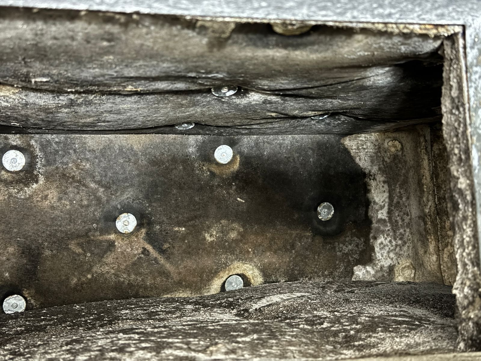mold in ac ducts of etihad towers apartment in abu dhabi