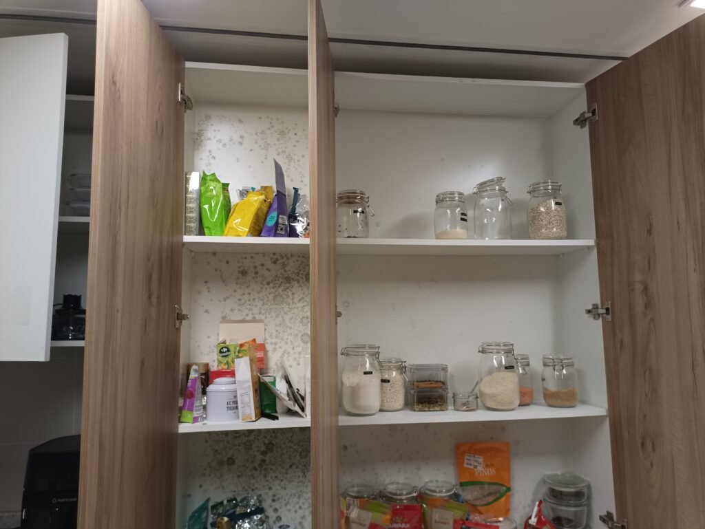 mold in kitchen cabinets due to high humidity in the apartment