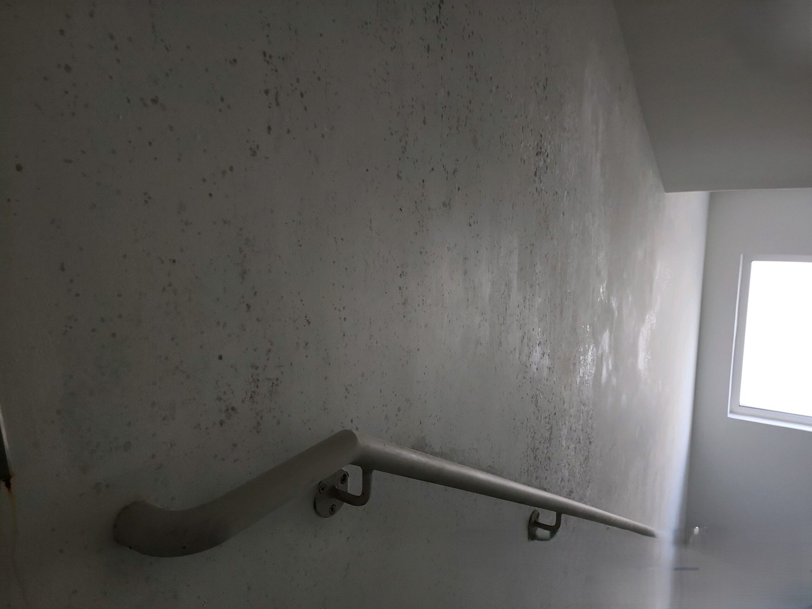 mold growth and condensation in building stairwell in abu dhabi