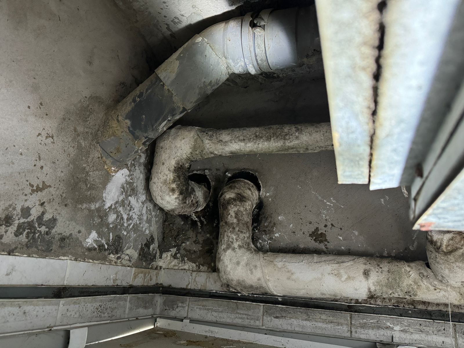 mold inspection services in dubai and abu dhabi