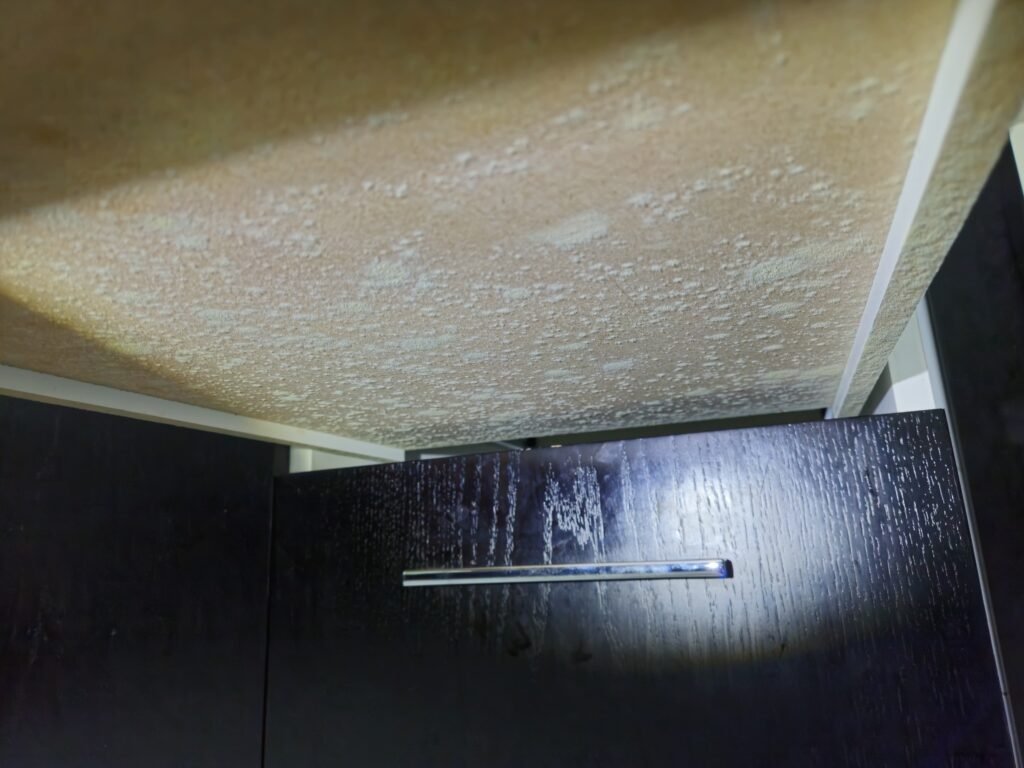 mold on bedroom drawers in cabinet in green community dubai