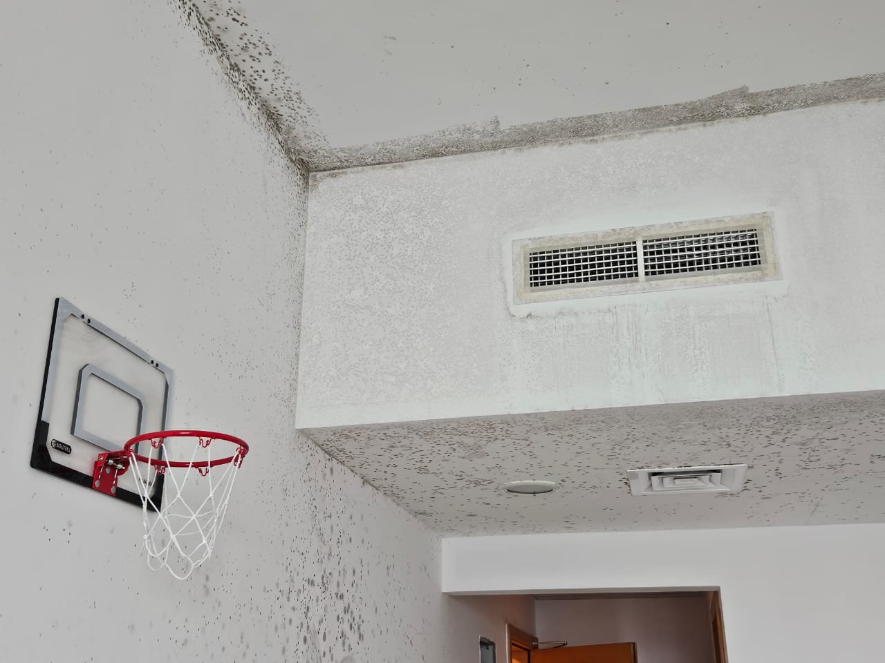 mold growth on gypsum ceiling in dubai apartment