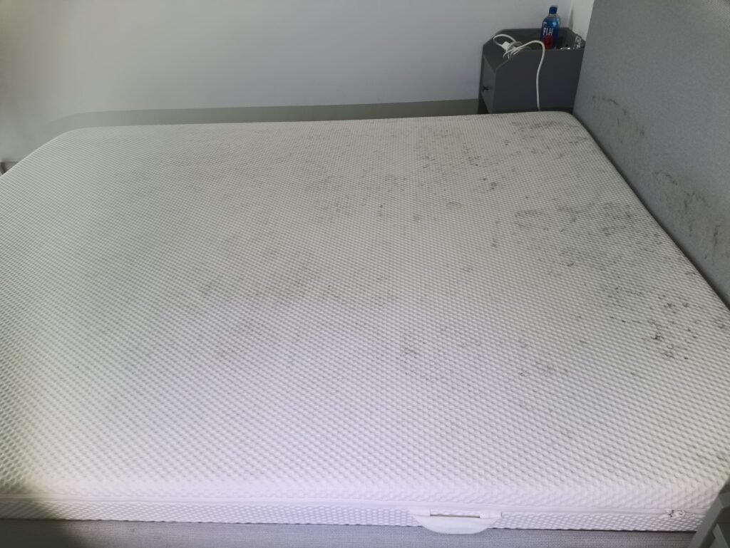 mold on mattress due to high humidity in dubai