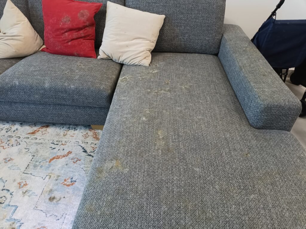 mold on sofa in business bay dubai