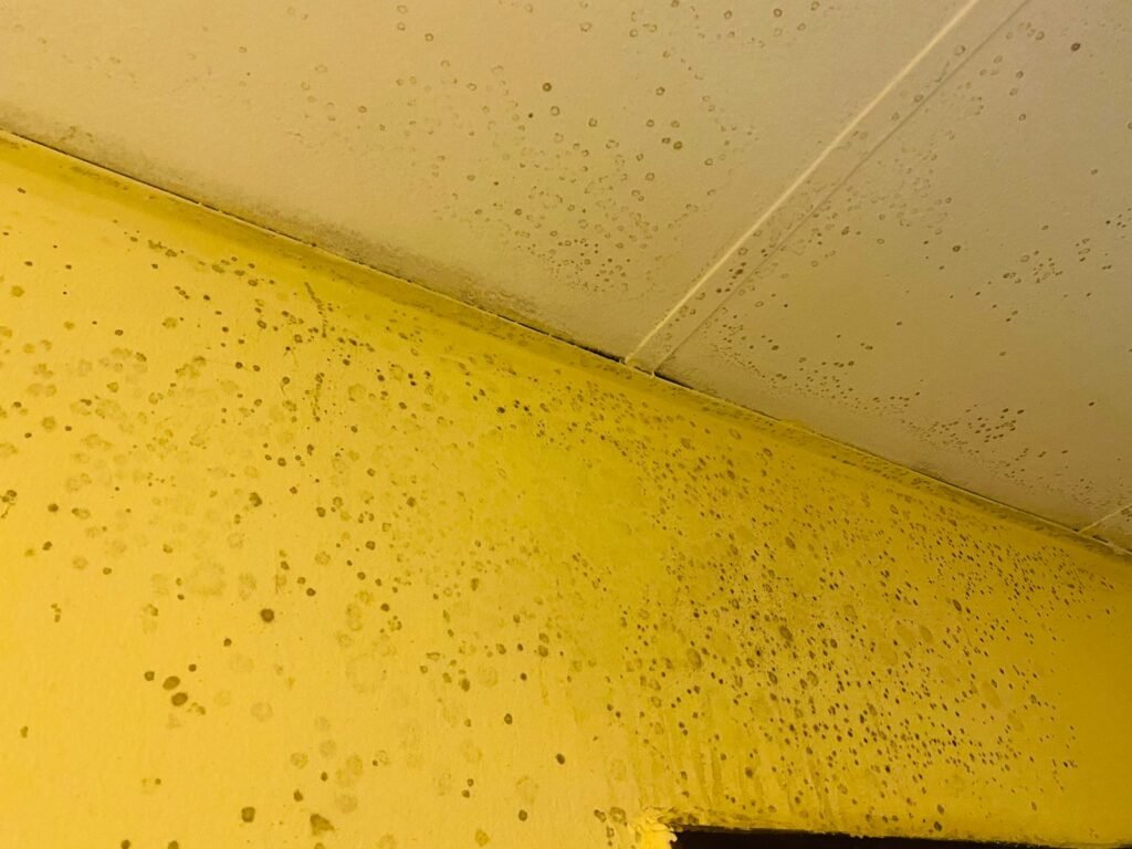 mold on wall and ceiling due to turned off ac and high humidity