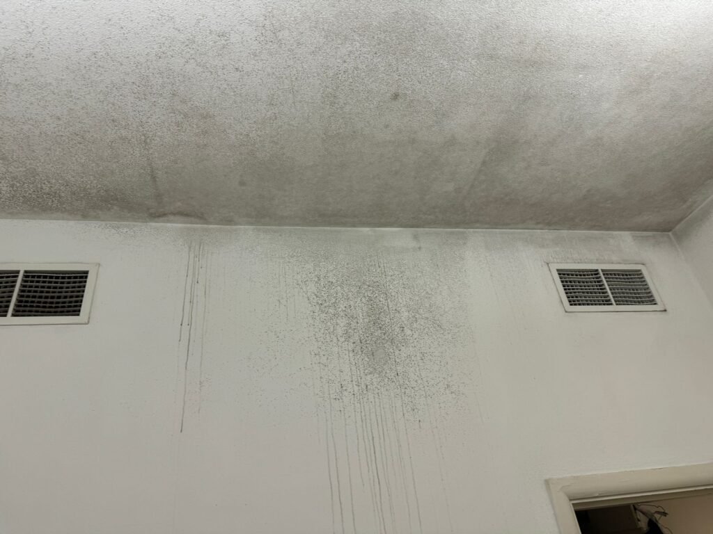 mold on walls and ceiling due to ac turned off on vacations