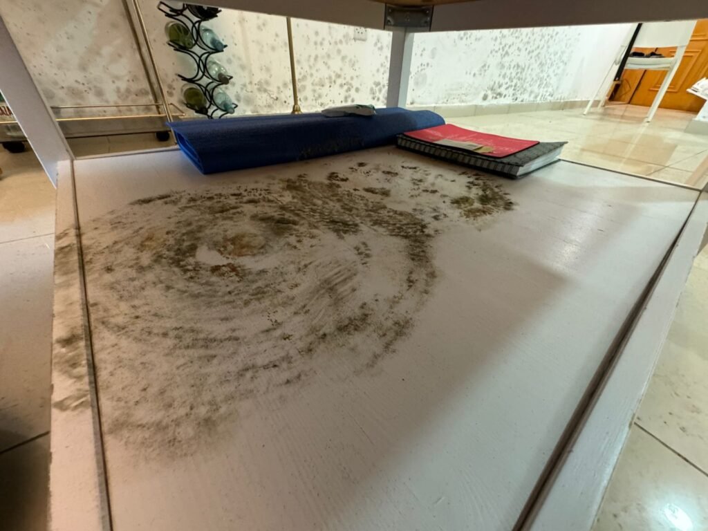 mold inspection and removal services dubai and abu dhabi - heavy mold growth in apartment