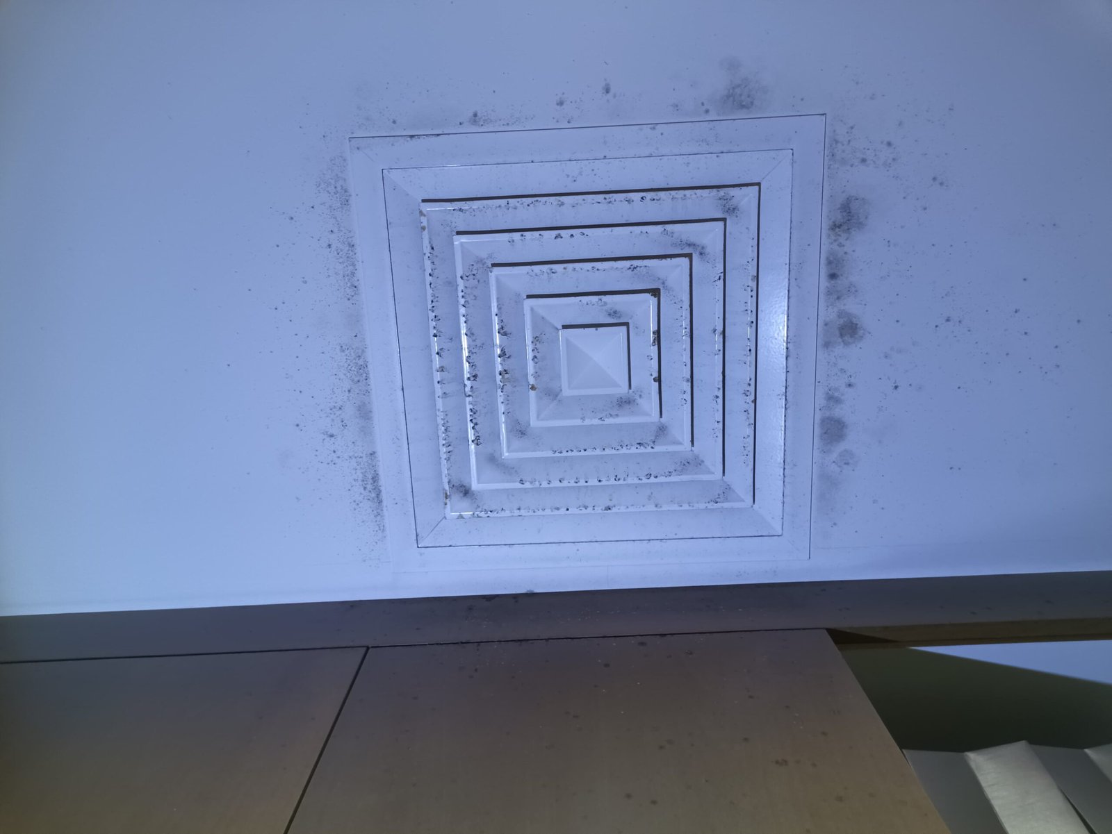mold removal in DIFC dubai from apartment ceiling and ac
