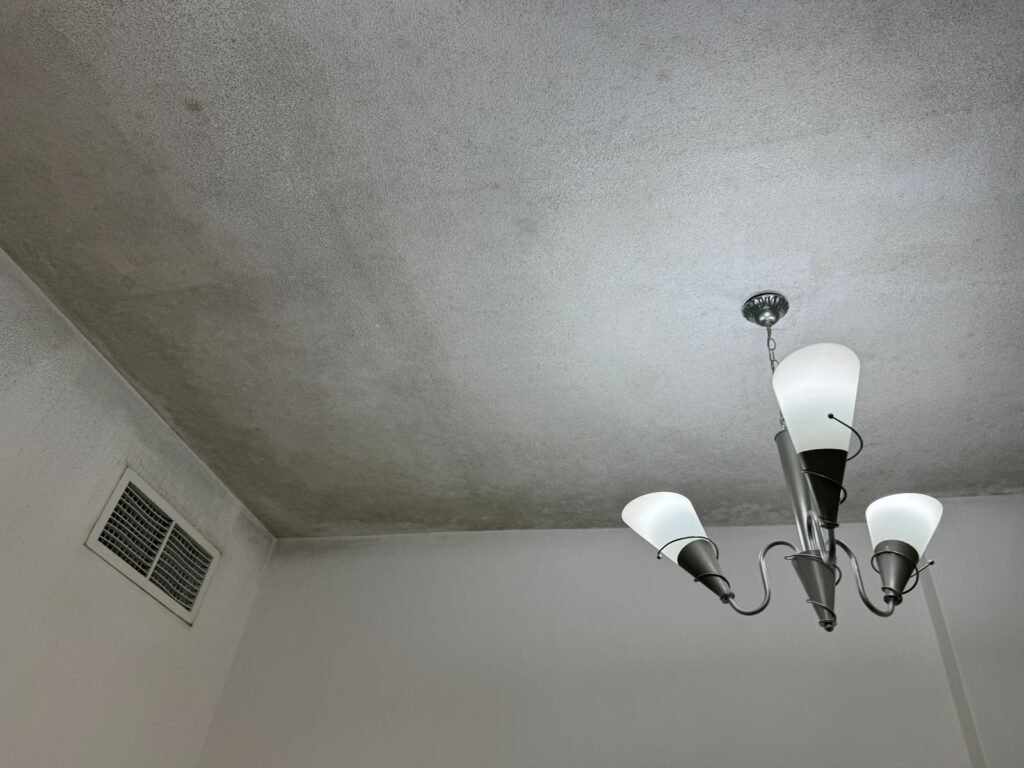 mold removal in saadiyat island abu dhabi