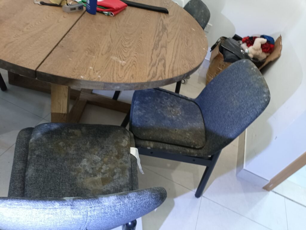 mold on dining chairs and table in business bay